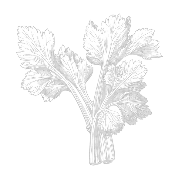 Fresh vegetables